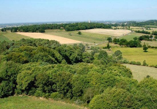 Haut-Perché à Montautour (groupes)