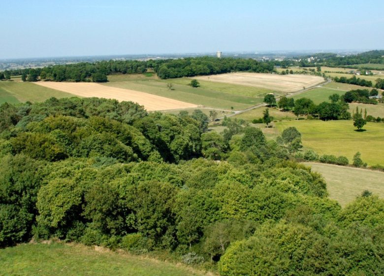 Haut-Perché à Montautour (groupes)