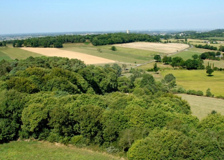 Haut-Perché in Montautour (Gruppen)