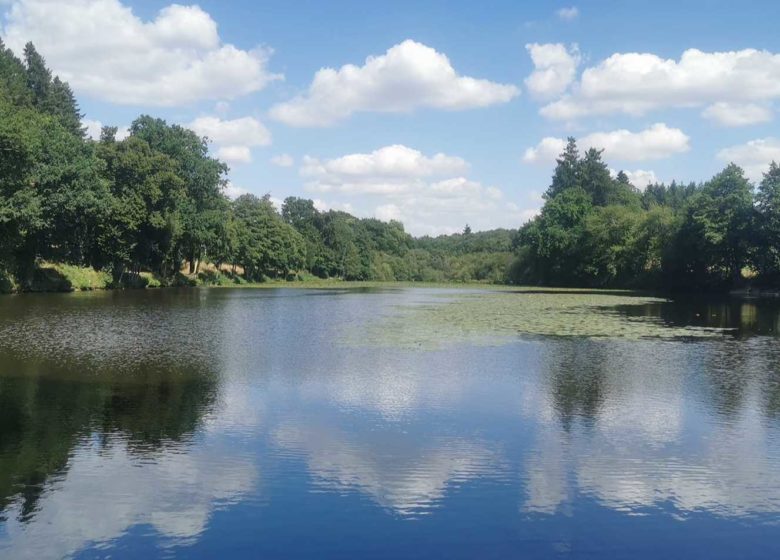 Étang du Moulin neuf
