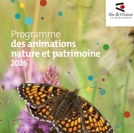 Observation des oiseaux de l&rsquo;étang