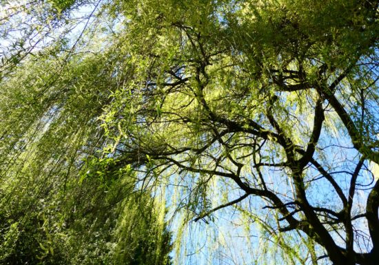 Tour de la Cantache n°74