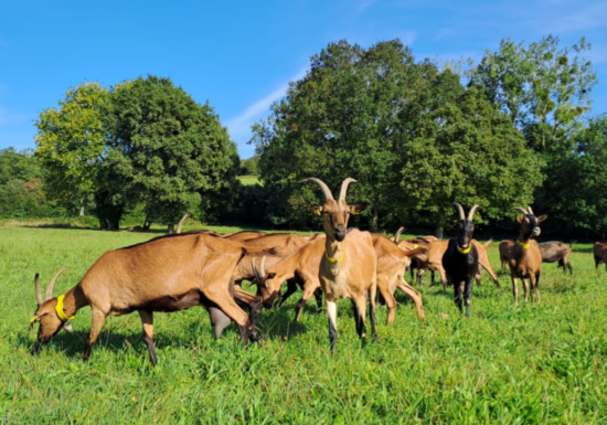 La Ferme d&rsquo;Hermeillon