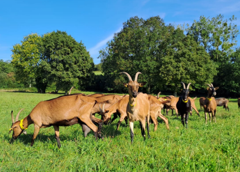 La Ferme d&rsquo;Hermeillon