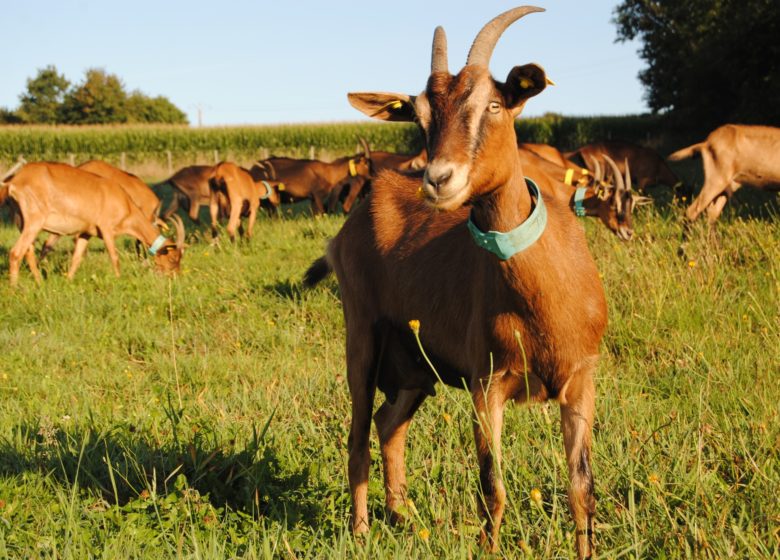 © ©La Ferme d'Hermeillon La Ferme d’Hermeillon