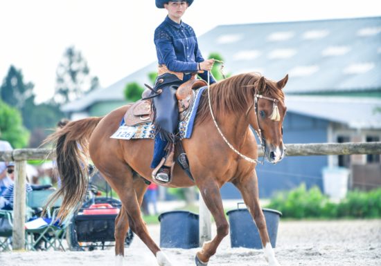 Ecuries Breizh Valley