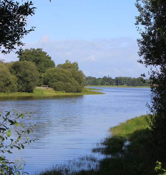 The pond of Châtillon-en-Vendelais