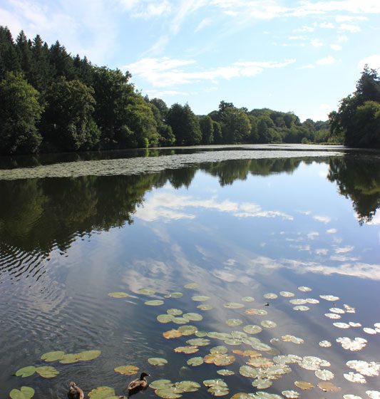 Étang du Moulin aux Moines