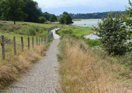 Besichtigung des Sees Haute-Vilaine Nr. 72