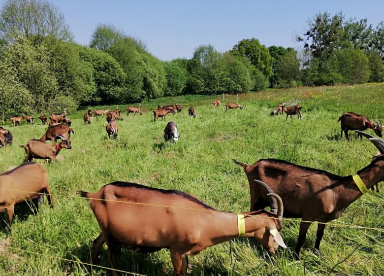 Randonnée gourmande à Saint-M’Hervé