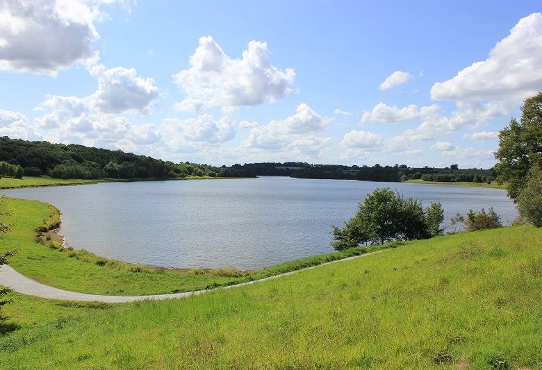 The Cantache dam