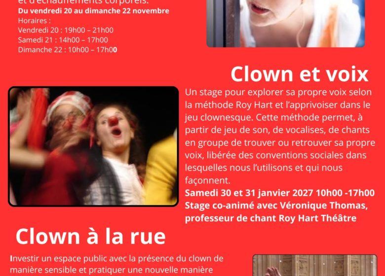 Stage clown « Clown à la rue »