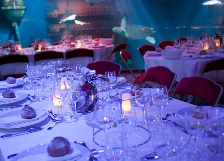 © Grand Aquarium - Saint-Malo Grand Aquarium de Saint-Malo