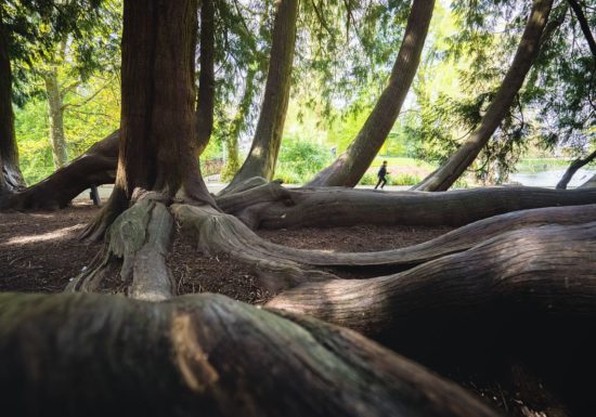 Une promenade au Jardin du Parc (groupes)
