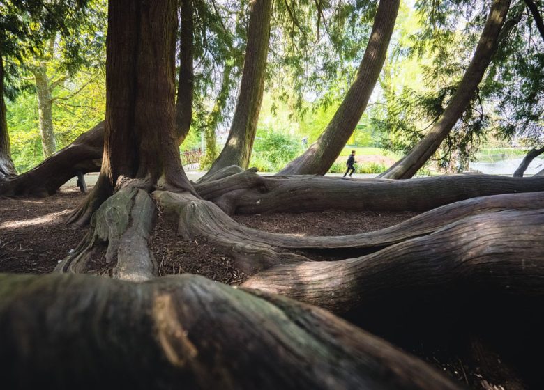 Une promenade au Jardin du Parc (groupes)
