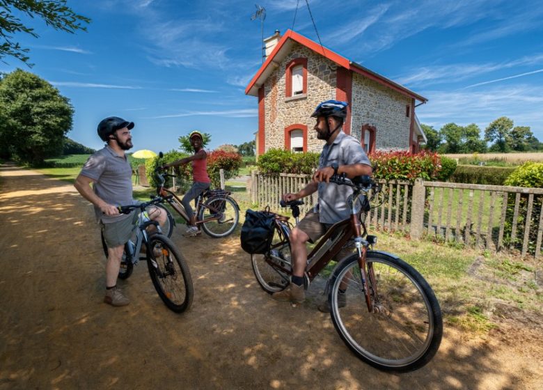 Les vélos de Babel