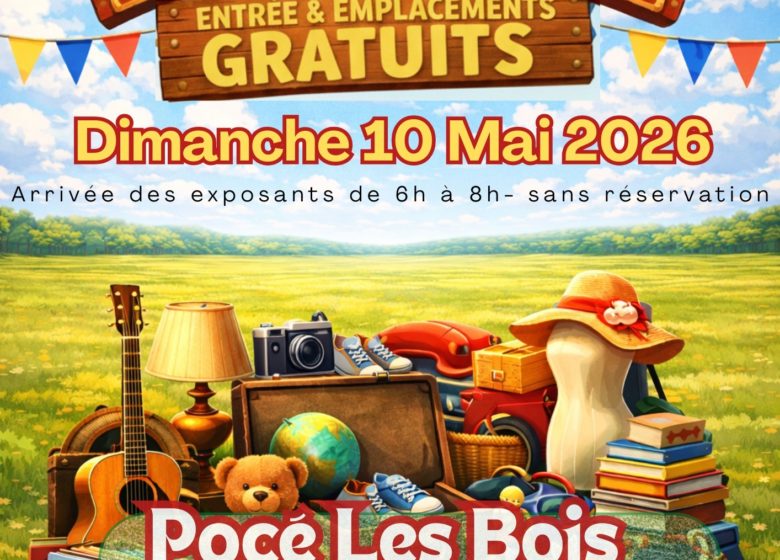 Vide-grenier Pocé-les-Bois