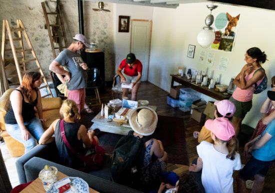 Atelier « Fabrication de savon au lait d&rsquo;ânesse »