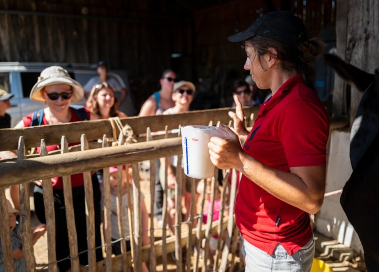 Visite d’une asinerie