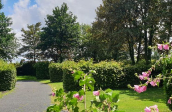 Camping Municipal du Chardonneret