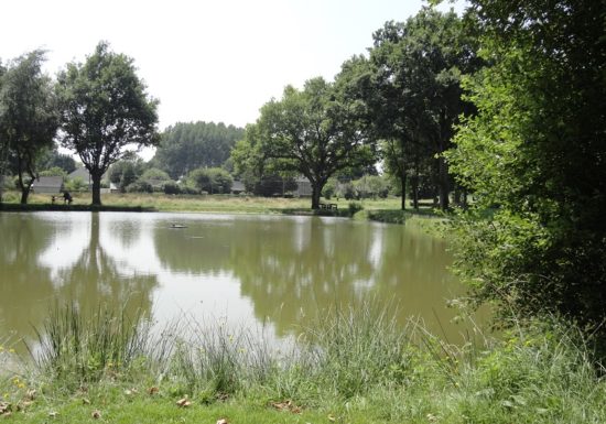 Camping municipal de La Rivière