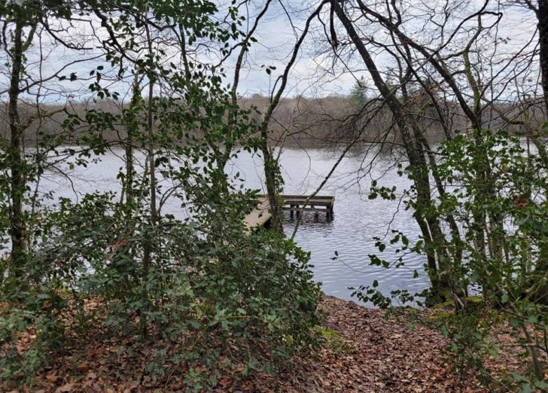 Schaltung der Pfade des Randes Nr. 56