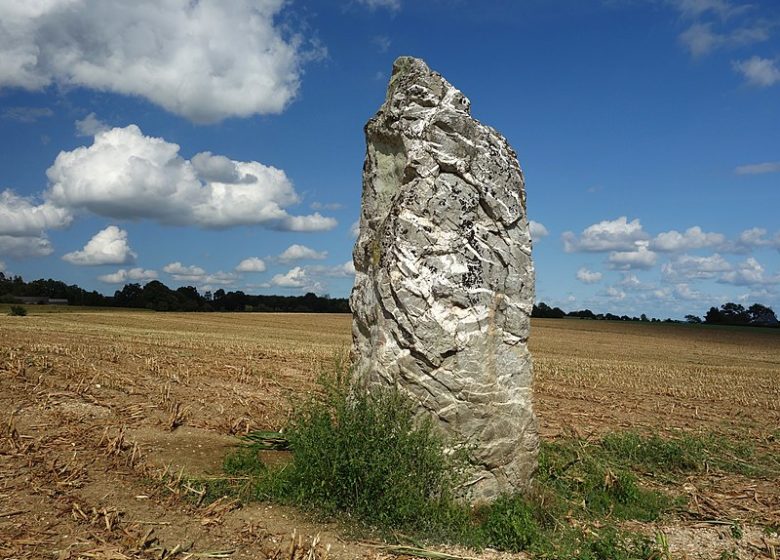 Menhir of the Hautes Vallées