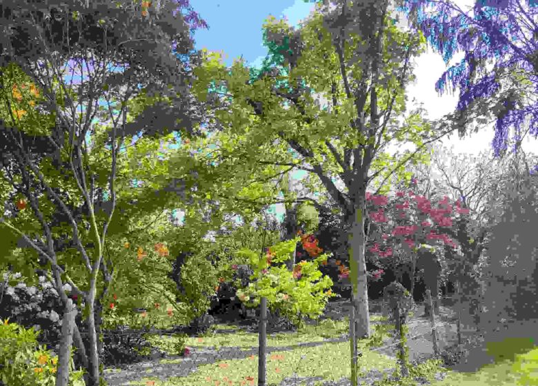 Arboretum J. Huchet